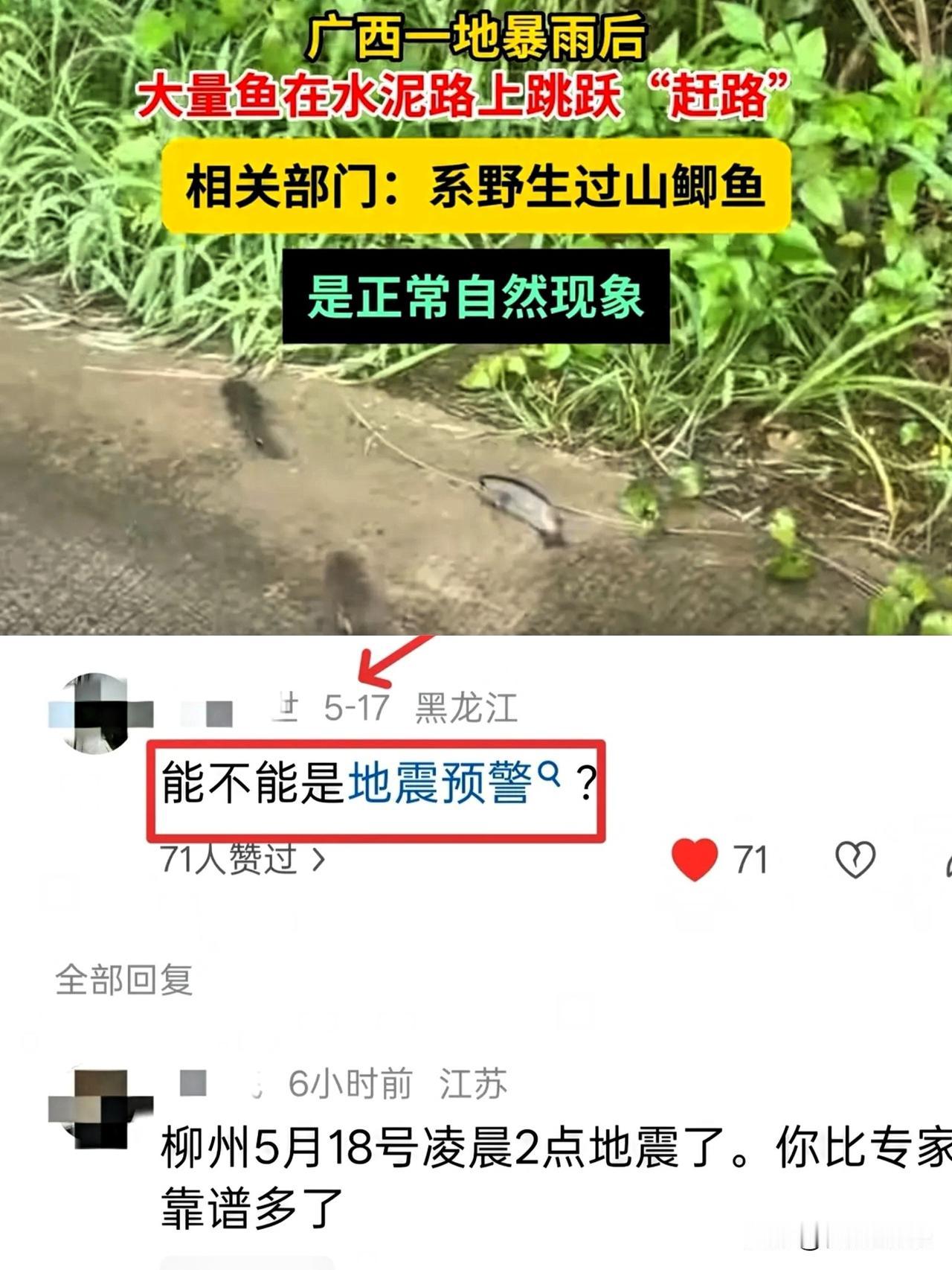 柳州地震前一天，广西出现一件稀罕事。在防城港市防城区，村民看到成群过山鲫不在水里