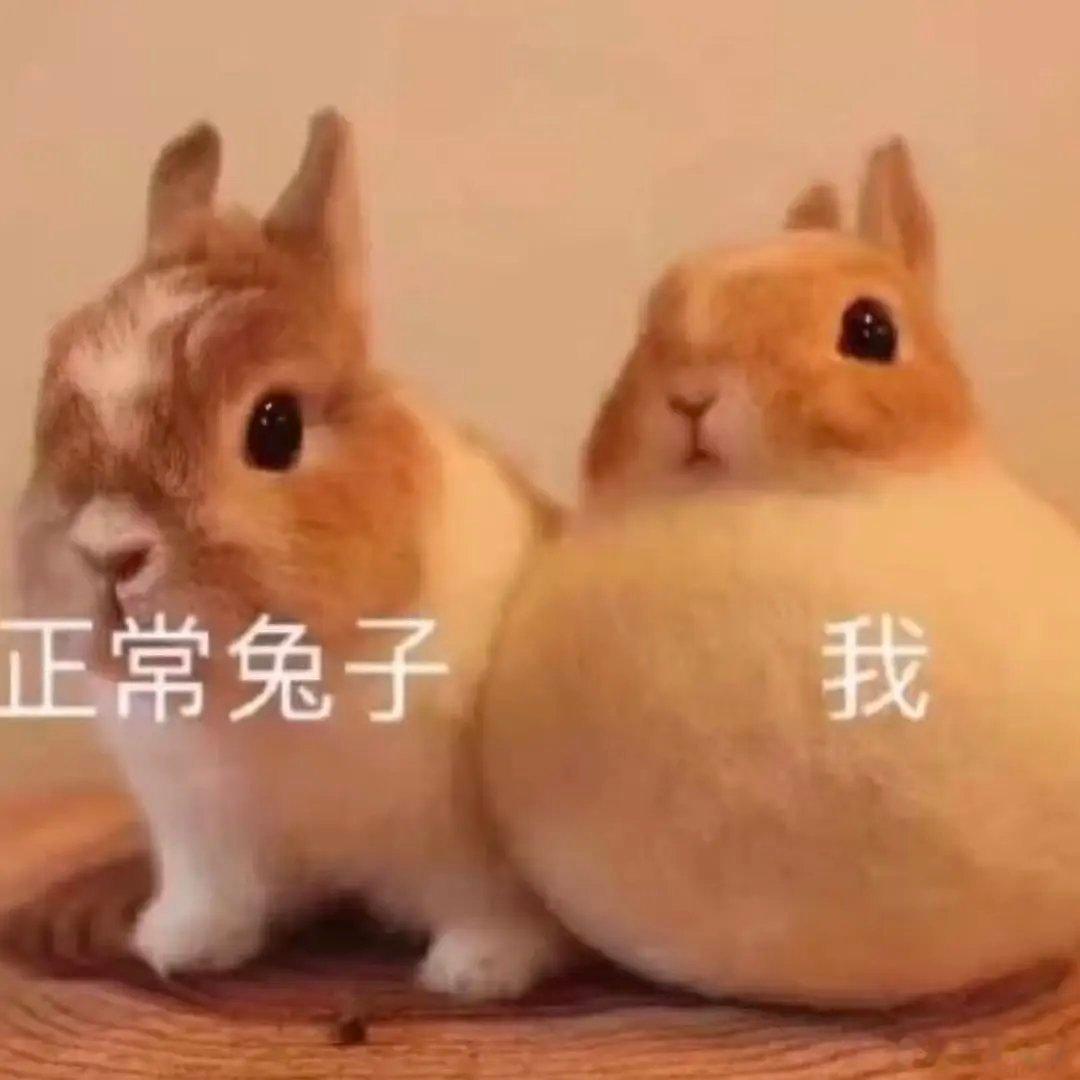 这是赵露思吗脸上这么多疙瘩