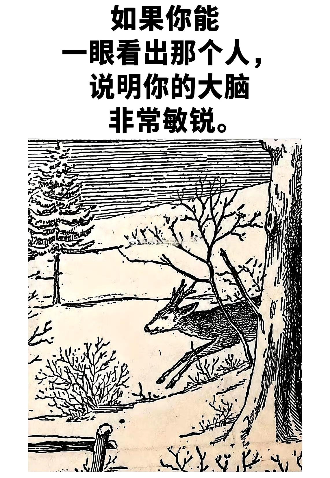 如果你能一眼看出那个人，说明你的大脑非常敏锐。