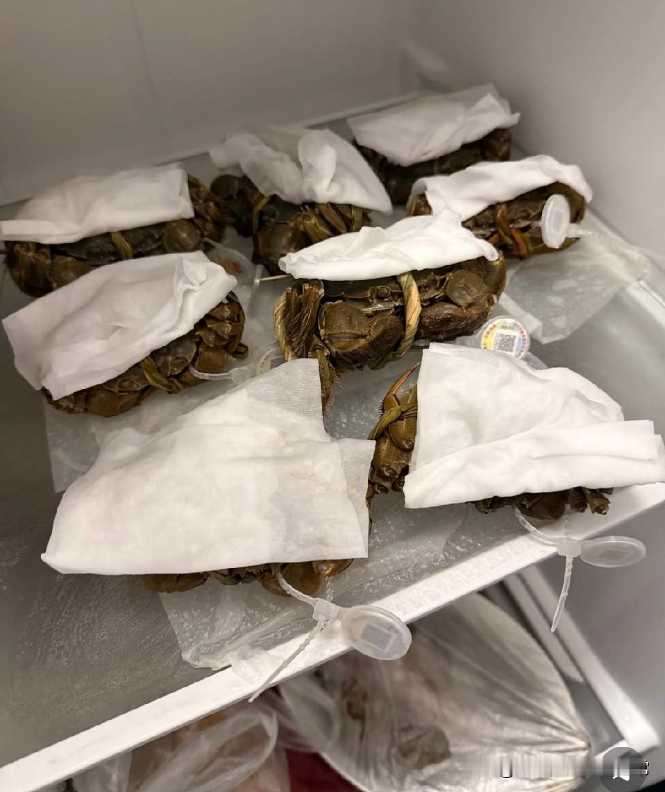 螃蟹大哥你好好活着吧！为了分两次吃大闸蟹，给螃蟹冲了个凉，绑好扔进3℃冰箱