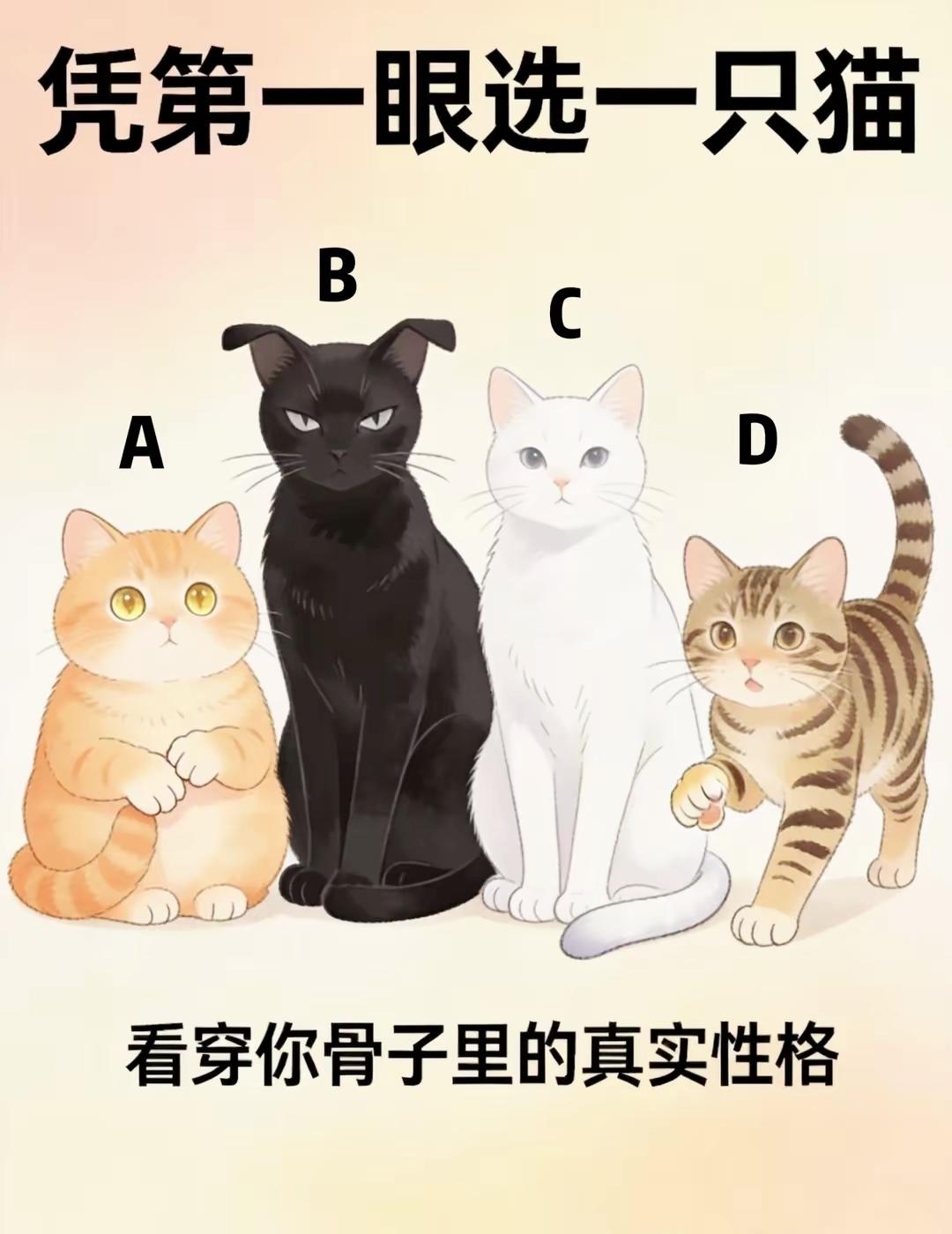 凭直觉挑选一只猫咪，测出藏在内心深处的真实性格趣味心理测试性格测试