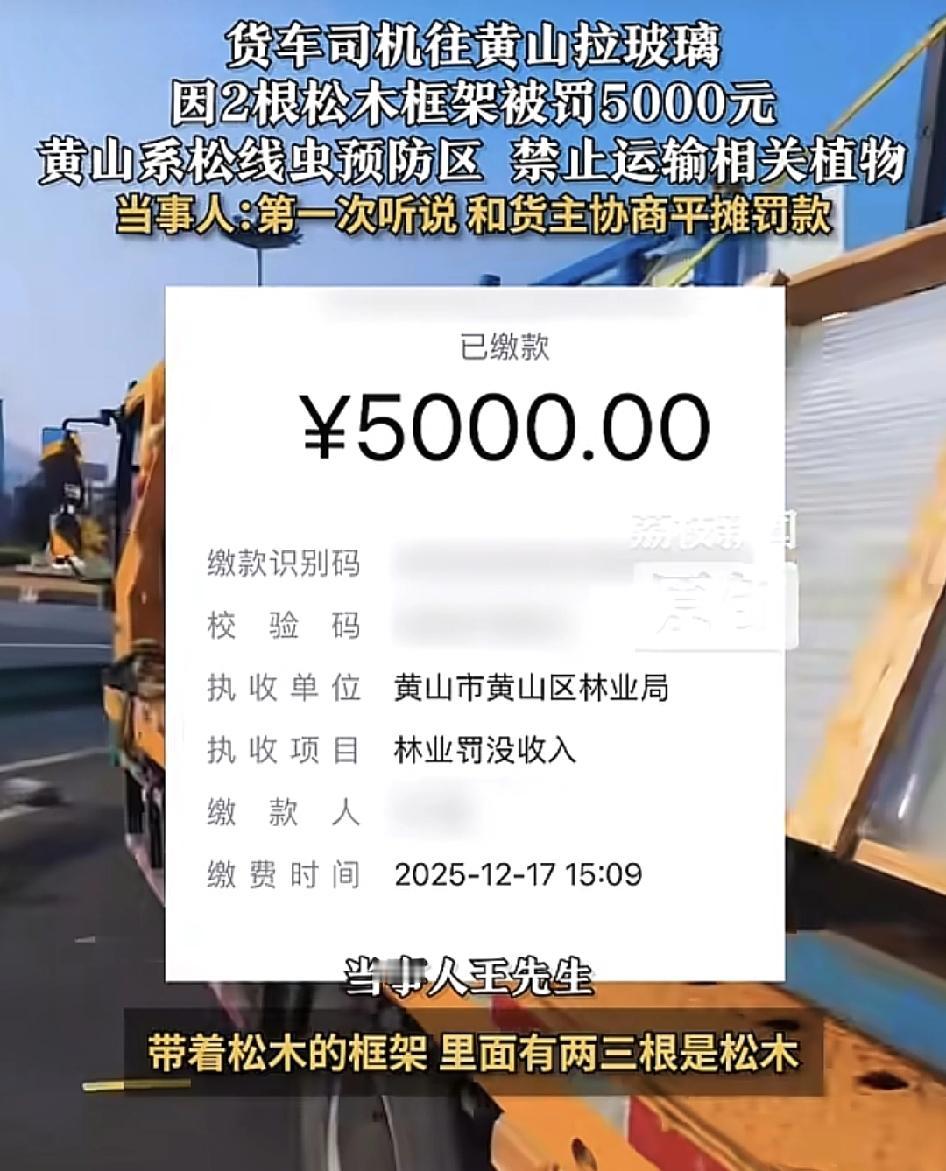 河北一位货车司机运送两块玻璃到经过安徽黄山，却因为两个框架是松木的被罚款5000
