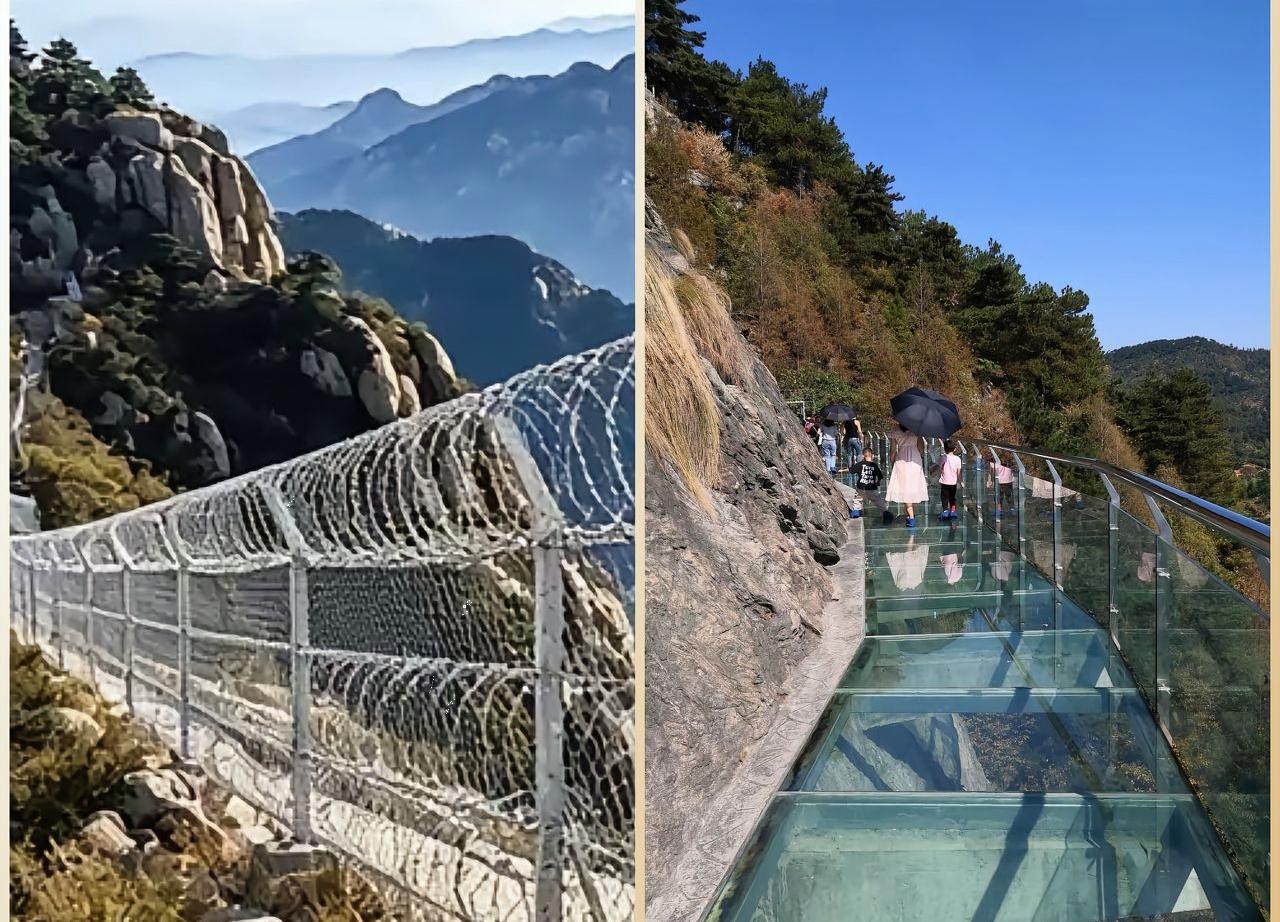 泰山最新后续来了，防护网拆了，但我有个疑问，泰山这防护网花了2519万，是谁出的