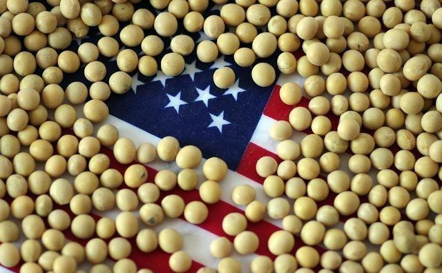美国大豆从武器变成了麻烦。美国其实是个农业大国,最主要的农产品出口就是大豆,以前