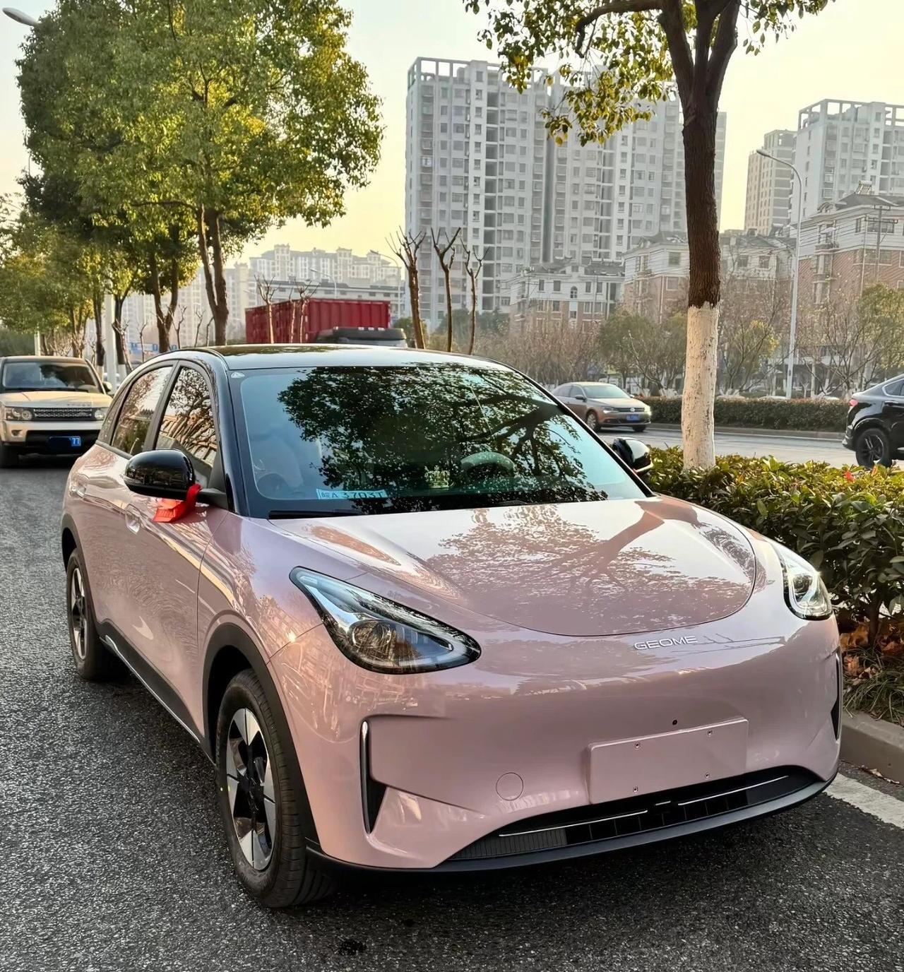 为啥海鸥卖不过星愿，25年前5个月星愿以164049辆的销量超过了海鸥，相差20