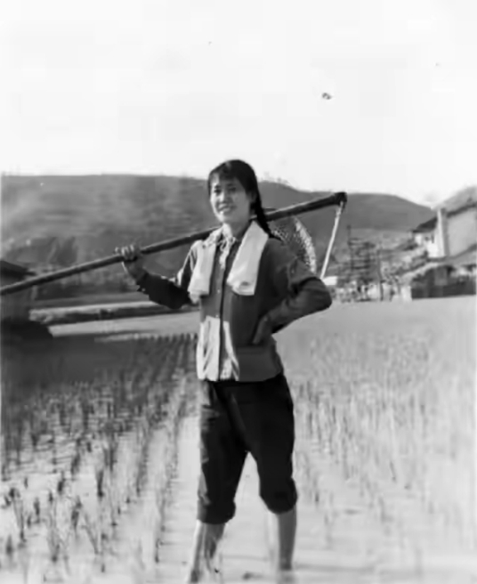 1973年，女知青黄丽萍携农村丈夫回宁波父母家，一进门，丈夫看到墙上挂着的照片大