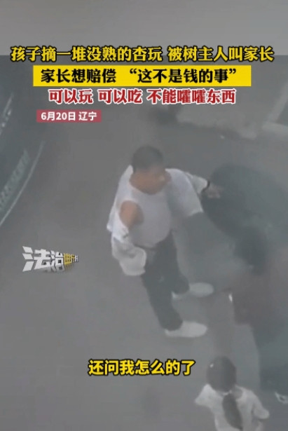 辽宁，孩子贪玩偷摘了一大堆还没熟的青杏，被果树主人当场抓住。主人气得直接找上门来