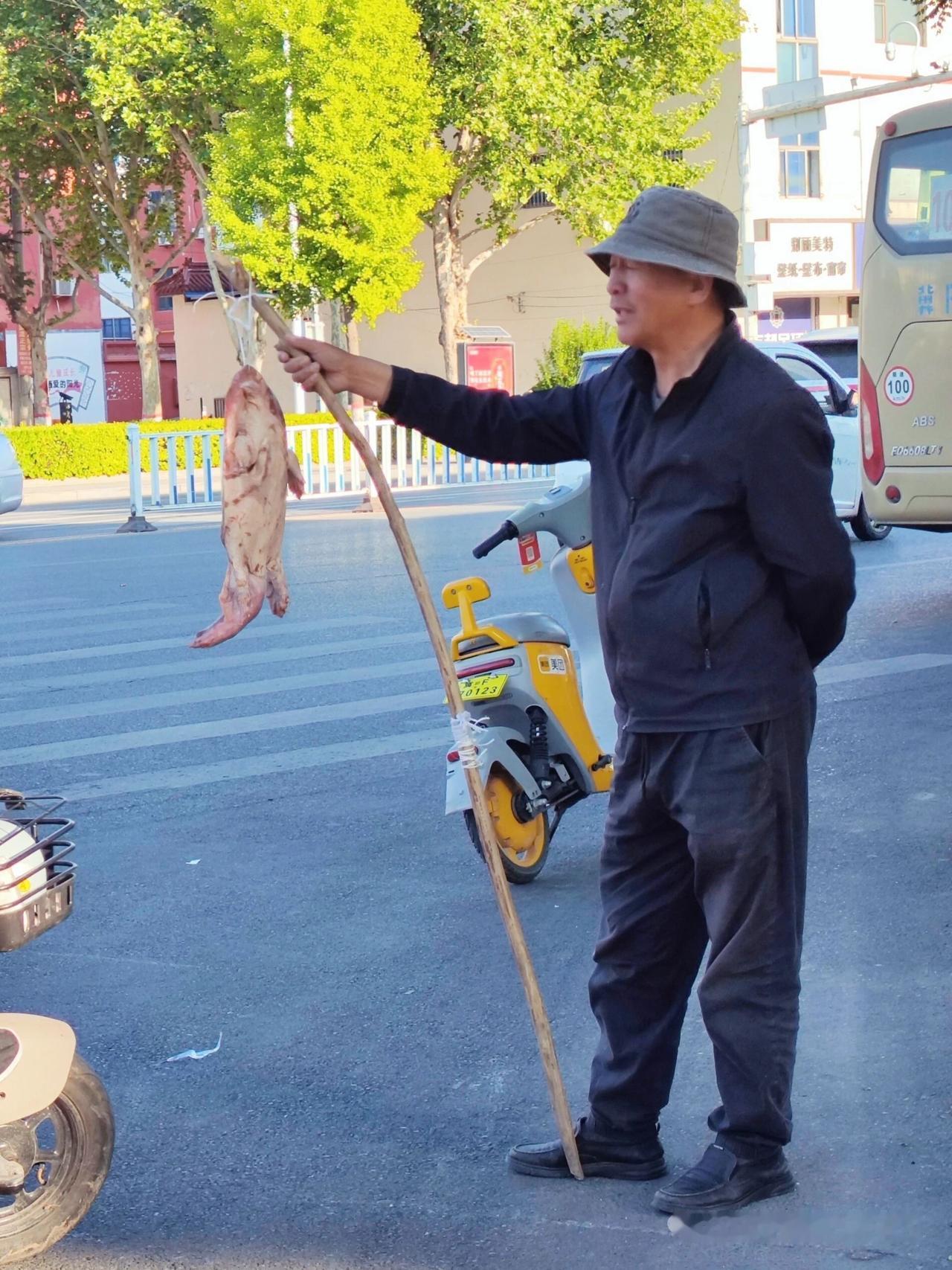 路边大爷的王八不要买……今天在十字路口看到一个大爷，拿着根竹竿，上面挂着