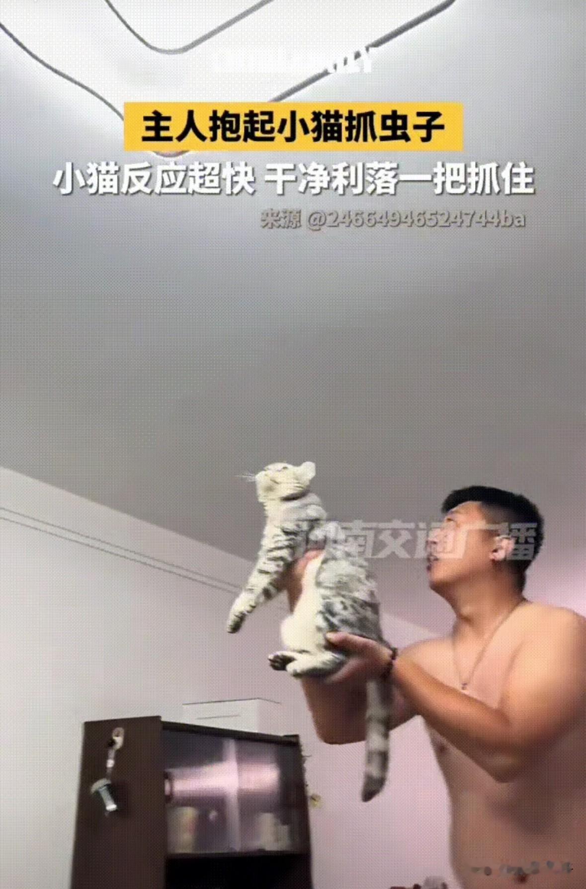 男子发现屋里有个飞虫，但是飞得有点高自己够不着也逮不住，正发愁时他想到了家里的小