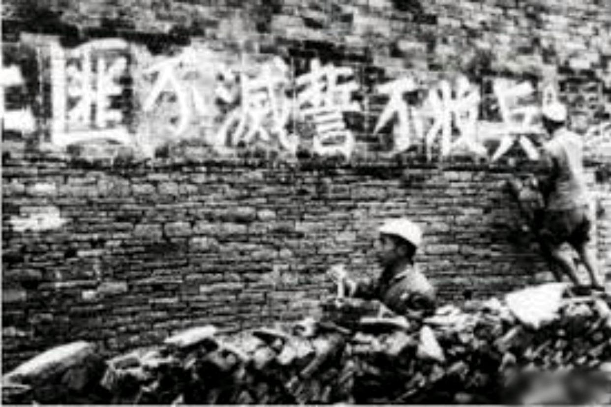 1949年女死囚临刑前3天，特派员拿出一张照片，800两黄金有着落了194