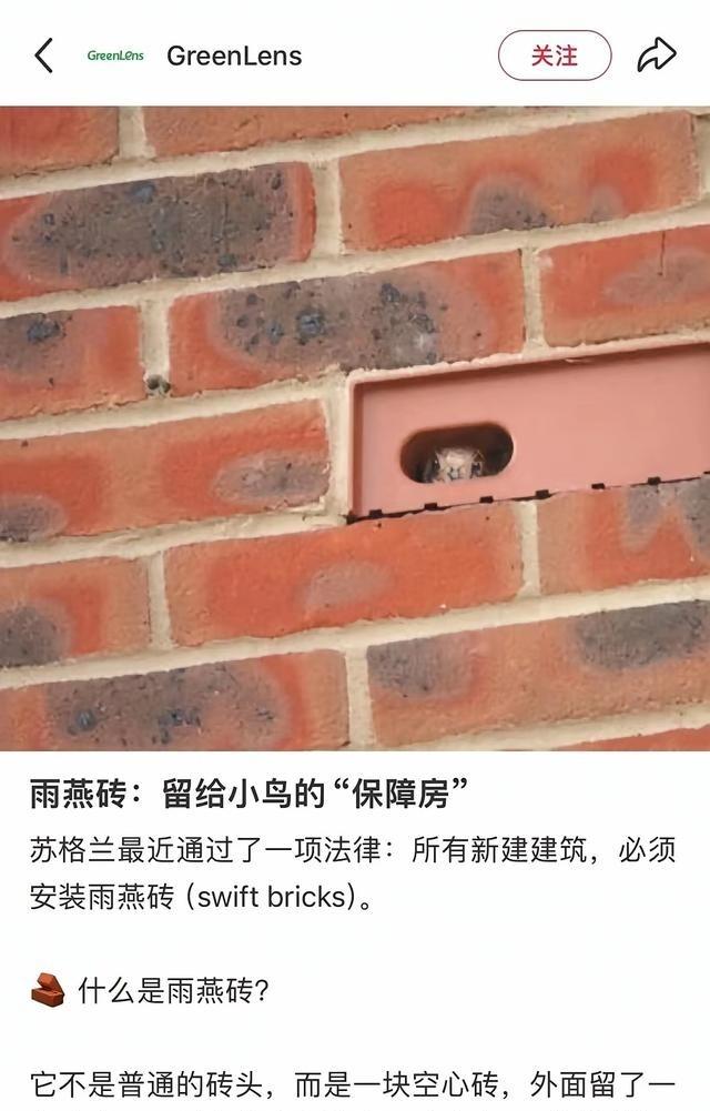 苏格兰强制新房装“雨燕砖”，一块居然要270块人民币，比咱这红砖贵了一千多倍，简