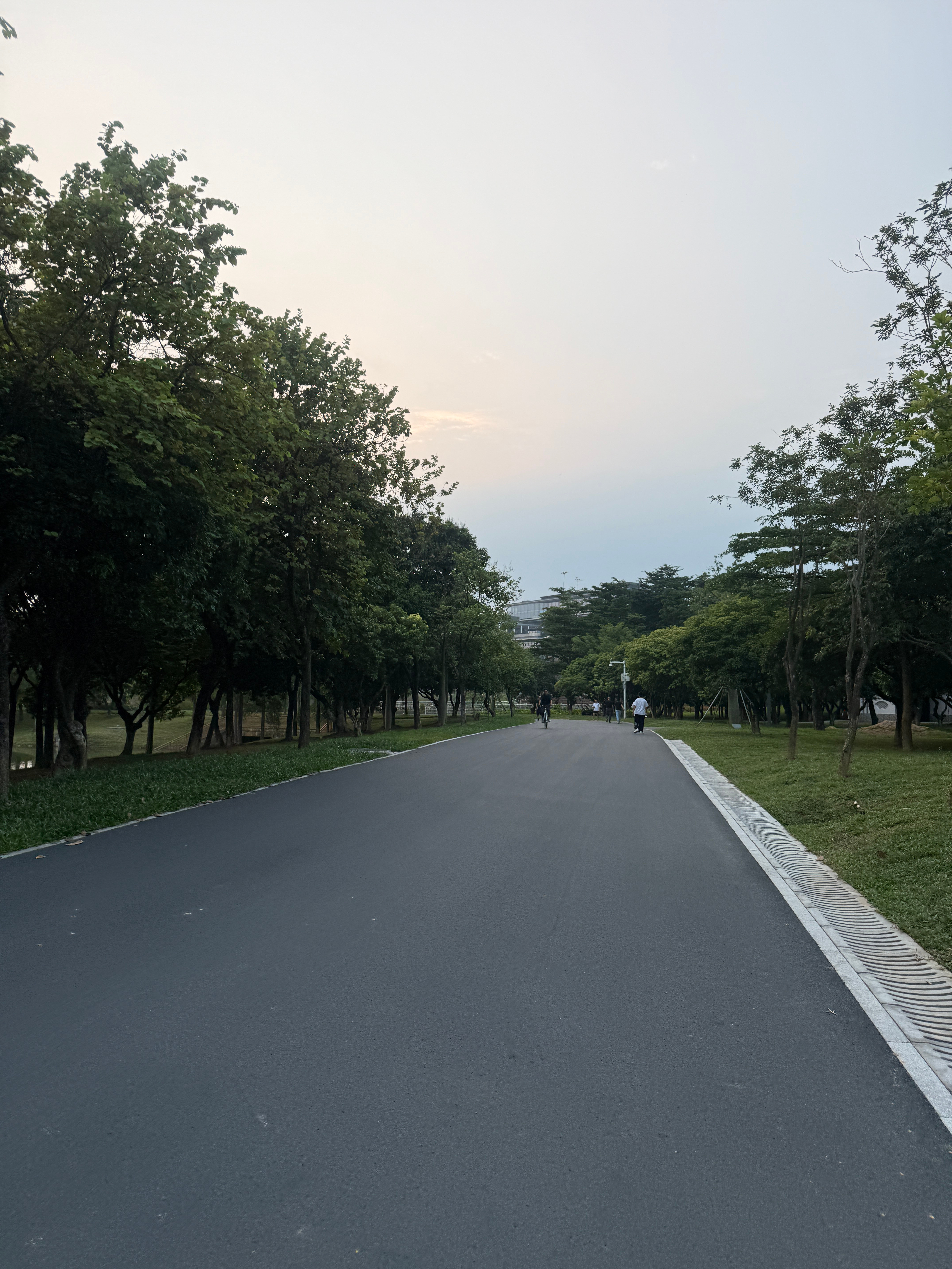 对我来说，最好的状态莫过于：早上随心跑个15公里，白天适当忙着，傍晚放松骑车27