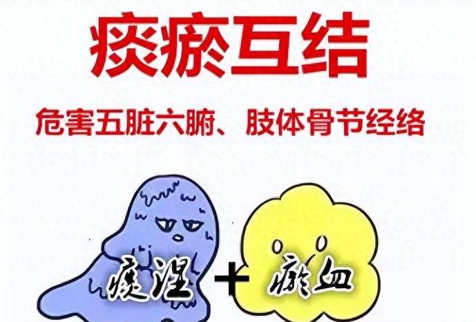 仅3味药的中成药！排浊清脂、通六腑、畅三焦，一身瘀痰全扫净我是中医陈大夫，