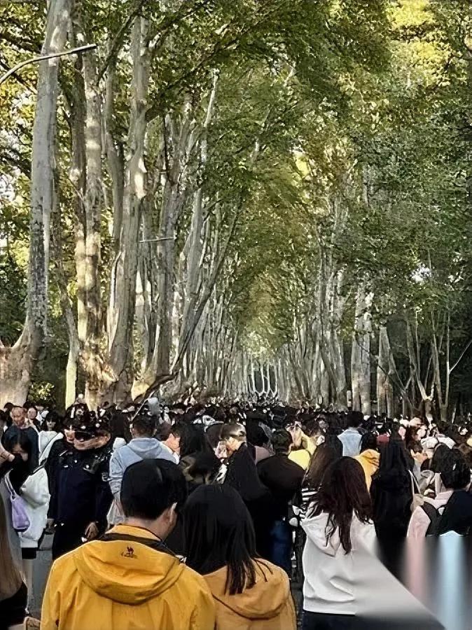 花200万鸡娃？先别急！可能养出恨你的孩子！好多家长拼了命给孩子报班、请