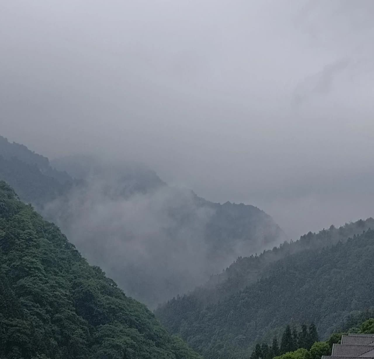 《一》整整十五年啊，这漫长的等待终于在监狱门前相见。看着自己的丈夫终于刑满释放，