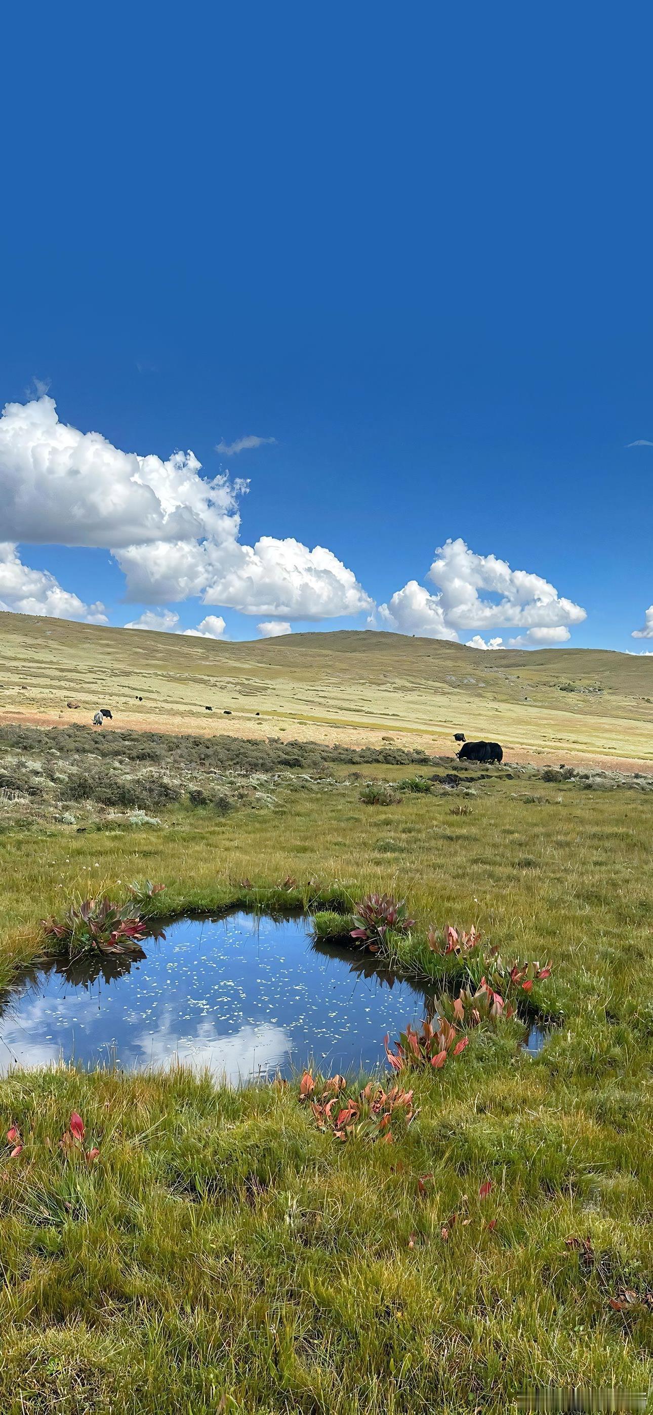 好的风景值得被珍藏｜风景壁纸分享