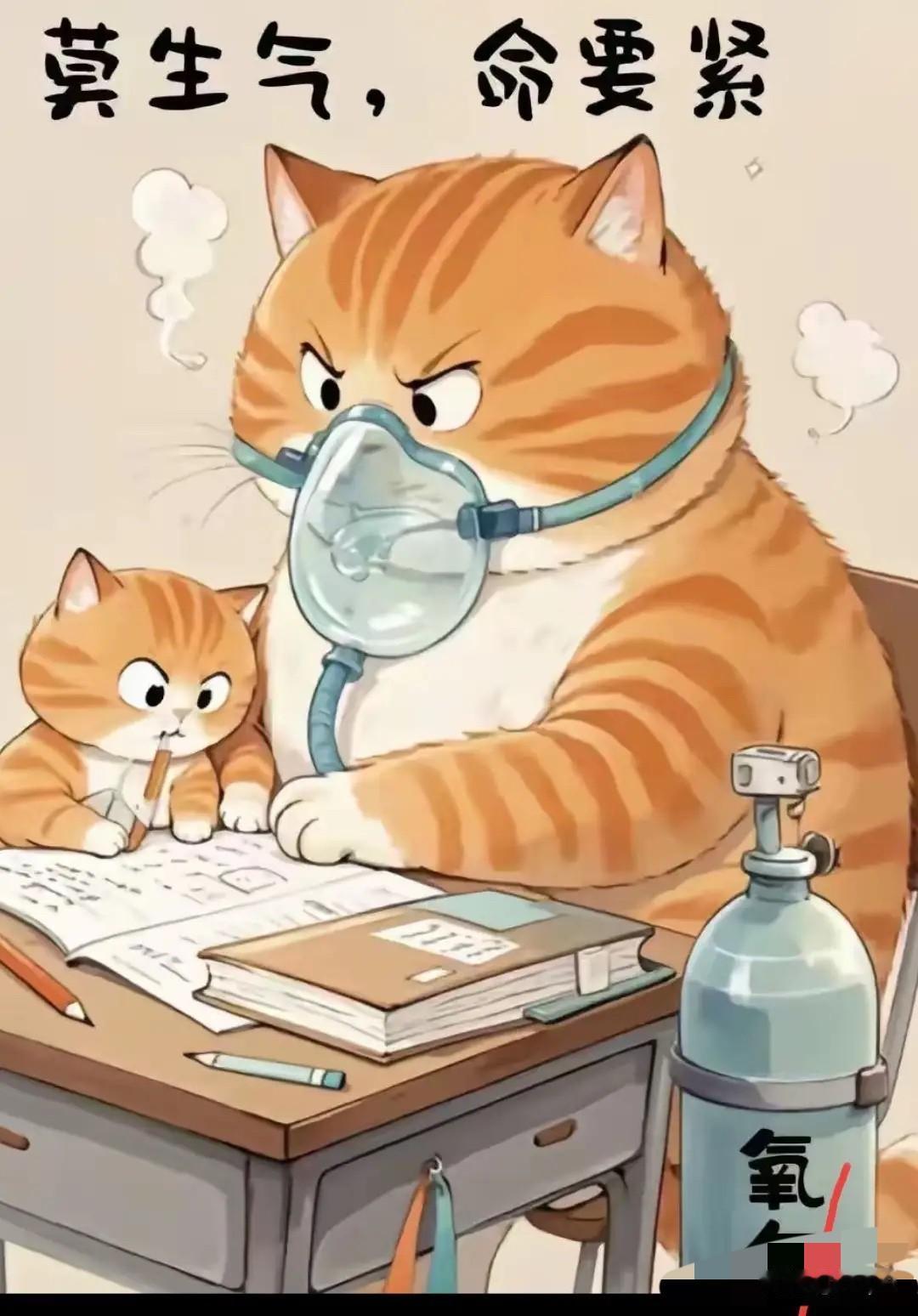 12月17号教育部考试新规一出，家长群直接炸成了菜市场！一二年级取消纸笔