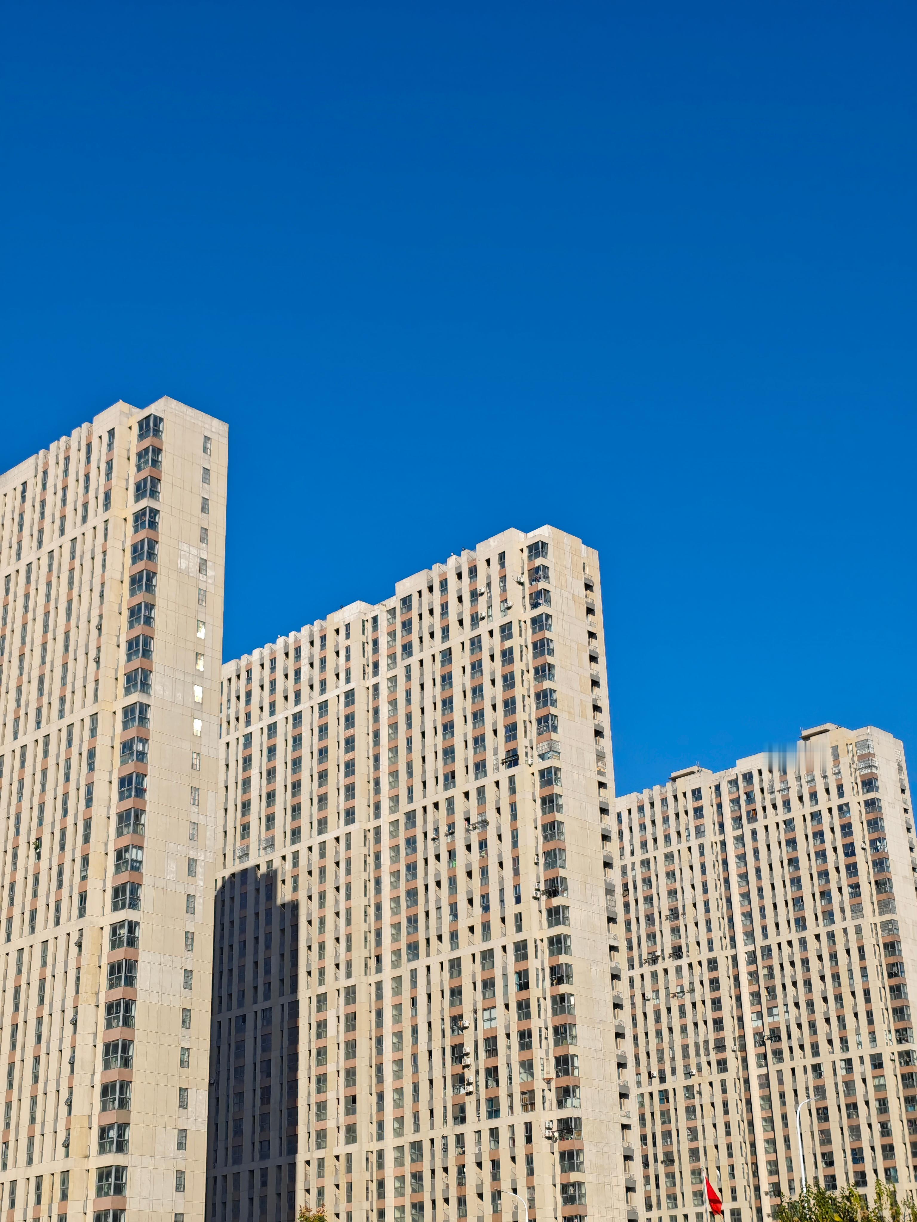 天气不错，就是有点冷🥶!吃个青菜面🍜加几个锅贴，搞定!