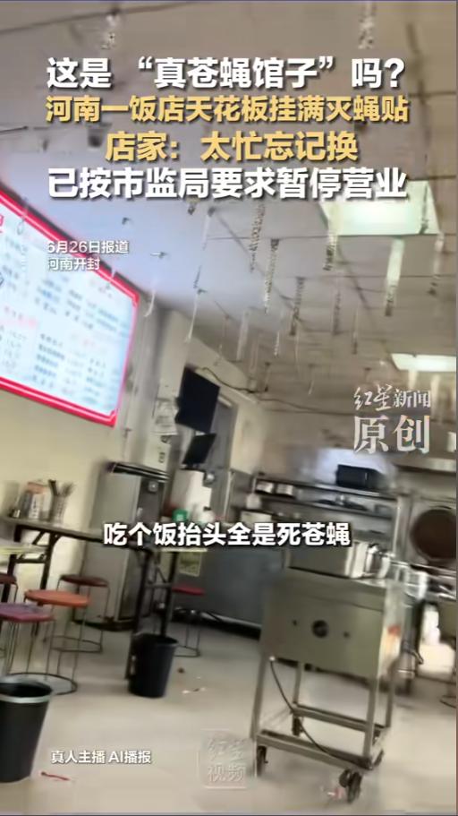 “真苍蝇馆子！”6月26日报道，河南开封，一网友在饭店吃饭，抬头一看直呼头皮发麻
