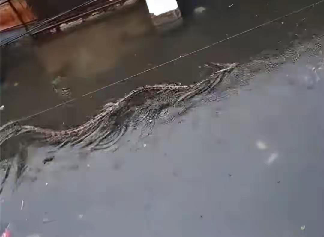 巴厘岛最近出了一件怪事。从2月21号开始，一场罕见的暴雨袭击了这个度假胜地。