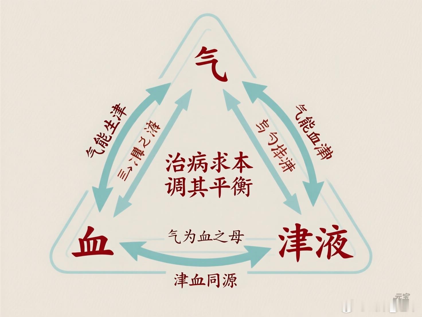 肩背松缓饮【食材】：葛根15g，陈皮2g，生姜2片，红枣2颗【做法】