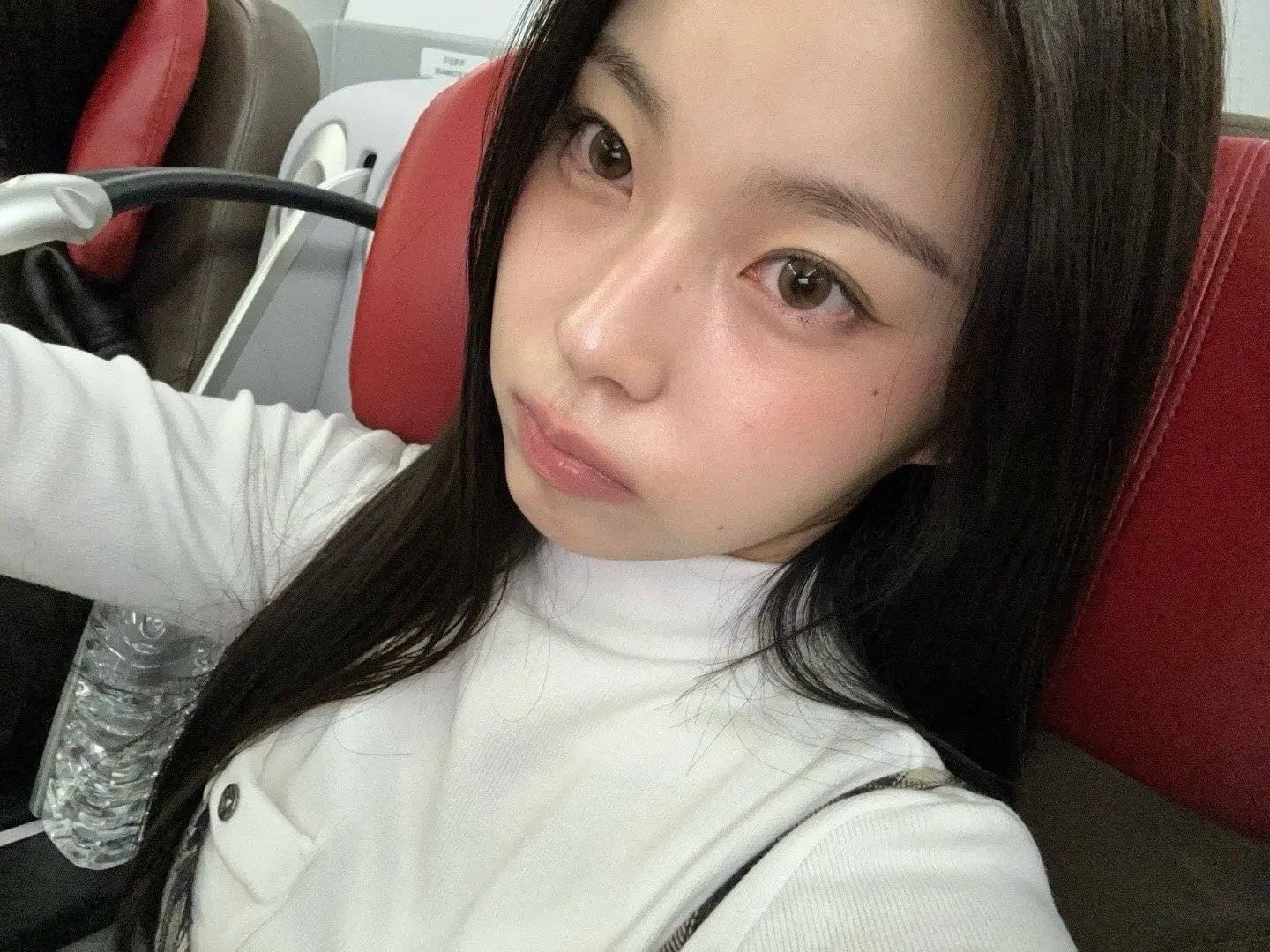 【张圭真】喵～😽