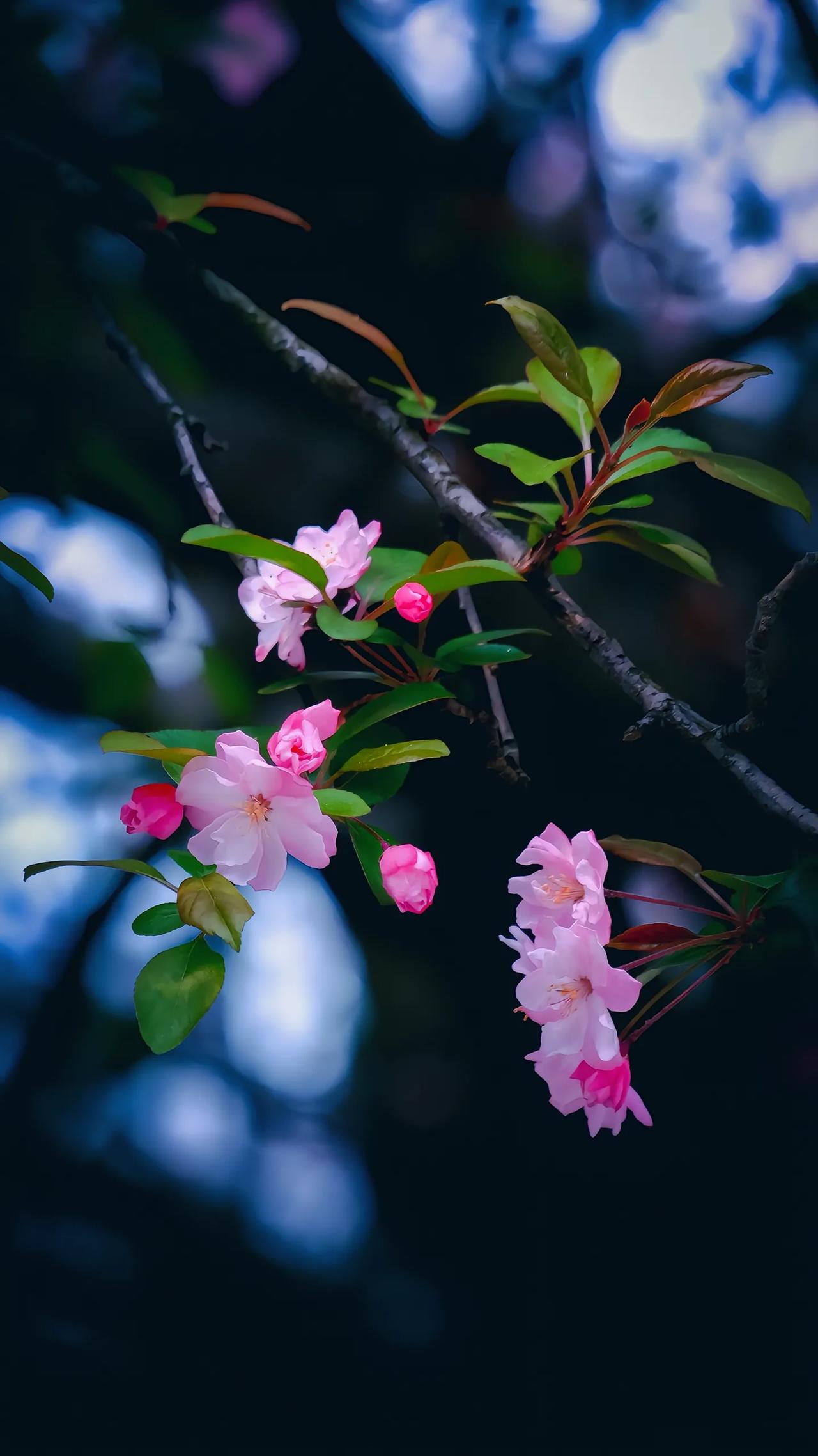 如今为何会出现众多大龄剩女？你以为是女孩子不想找对象吗？实则不然，我们的教育选拔