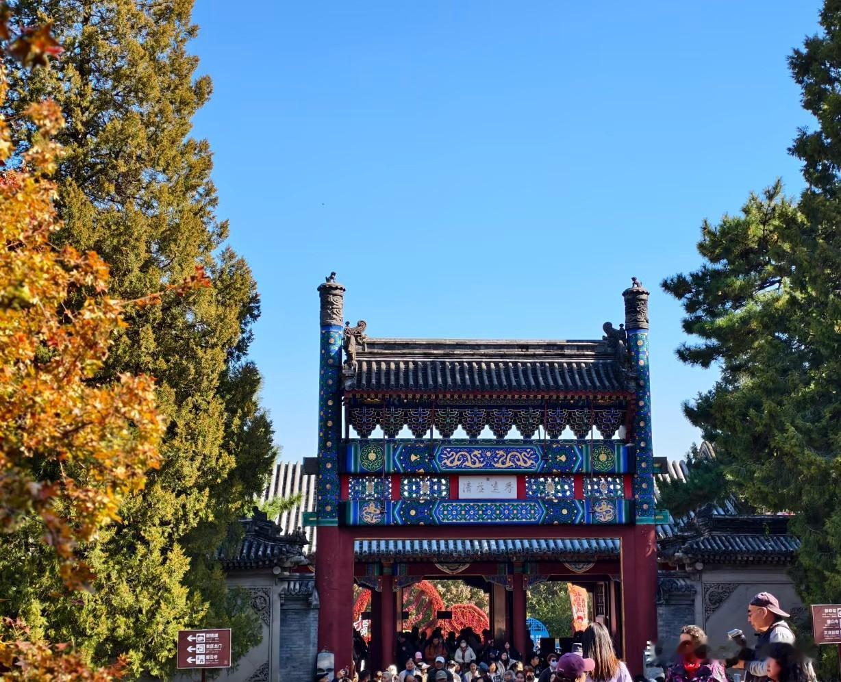 香山公园的红叶，就算有也寥寥无几！野生黄栌大多扎堆在西山西坡，可东坡的香山公园，