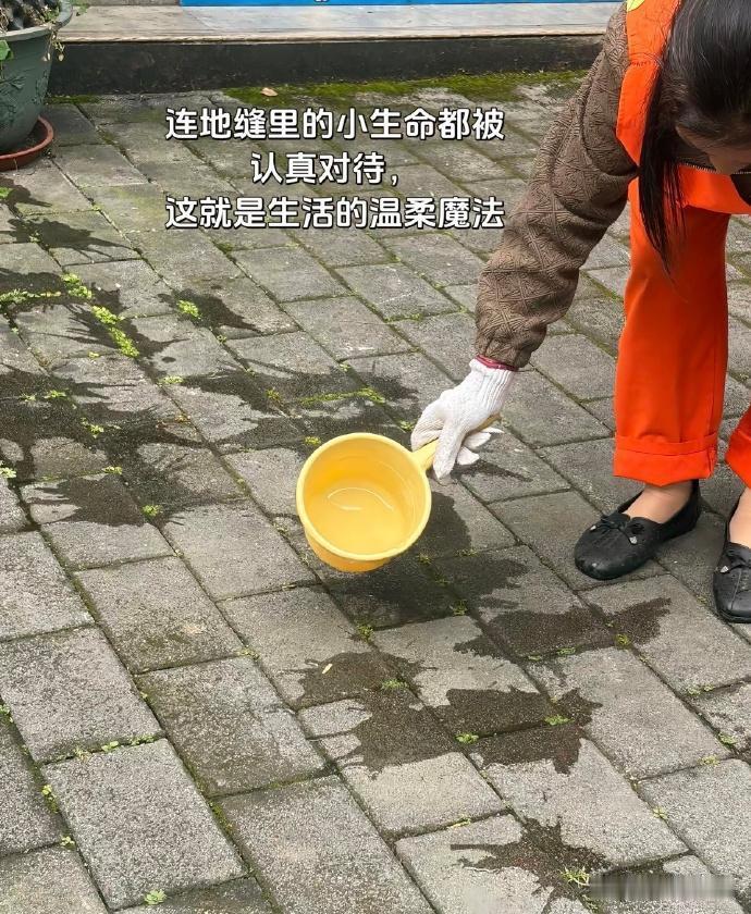 是时候该提高一下自己社会化程度了