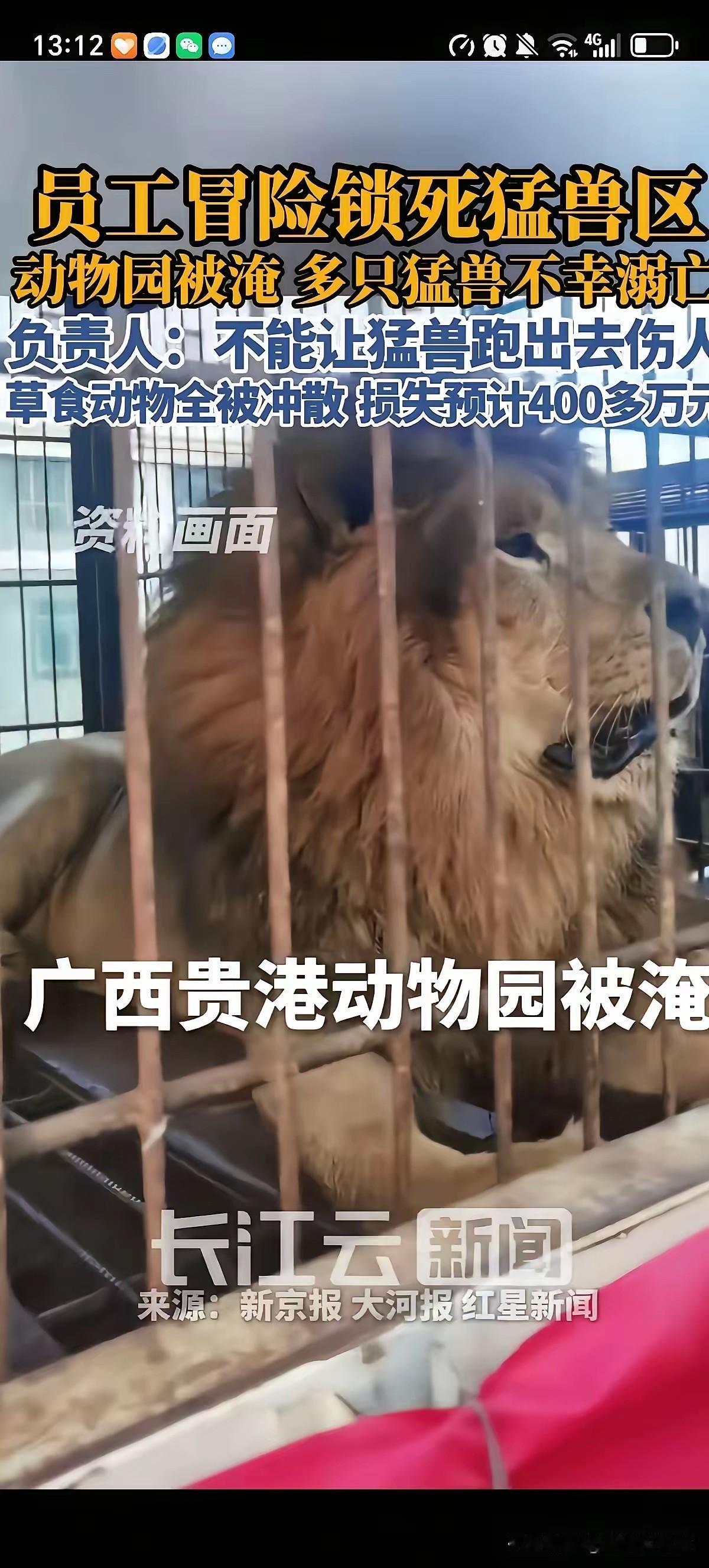洪水涨到2米之前，他和员工把笼门插销别死了。笼子里是3头狮子，笼子外面是村庄。