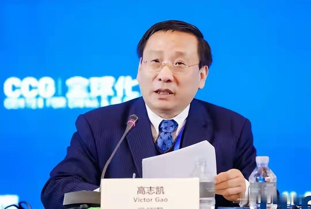 高志凯重磅发声！对日强硬反制落地，高市早苗成中日关系转折里程碑　　面对日本
