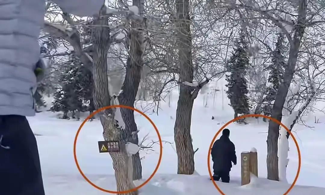 央视发文怒批！女游客违规靠近雪豹被伤，正接受调查。说白了就是该女游客被雪豹咬