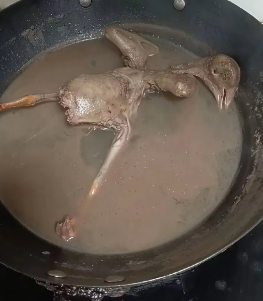 婆婆给我炖了鸽子，我跟她说不想吃，她就非要我喝汤。可那汤看着就跟涮锅水似的，这谁