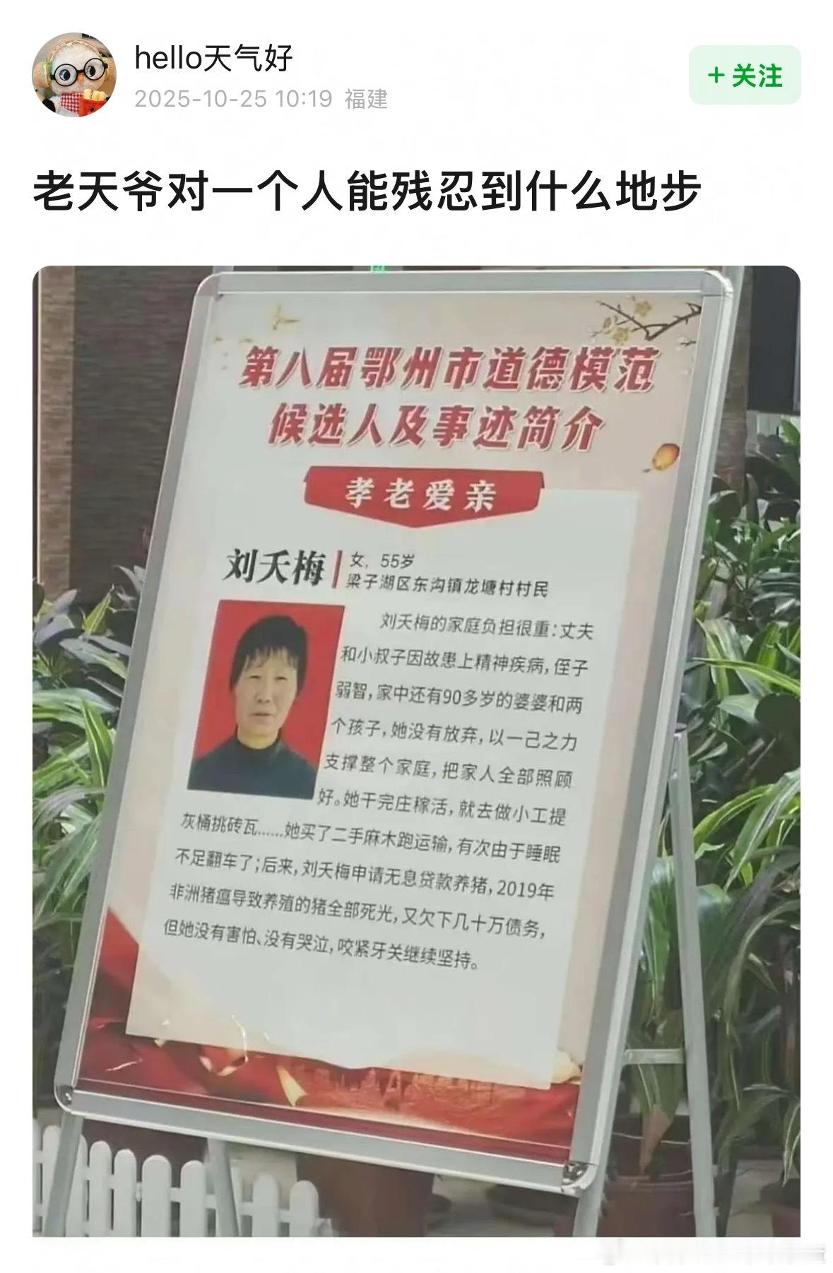 太苦了​​​