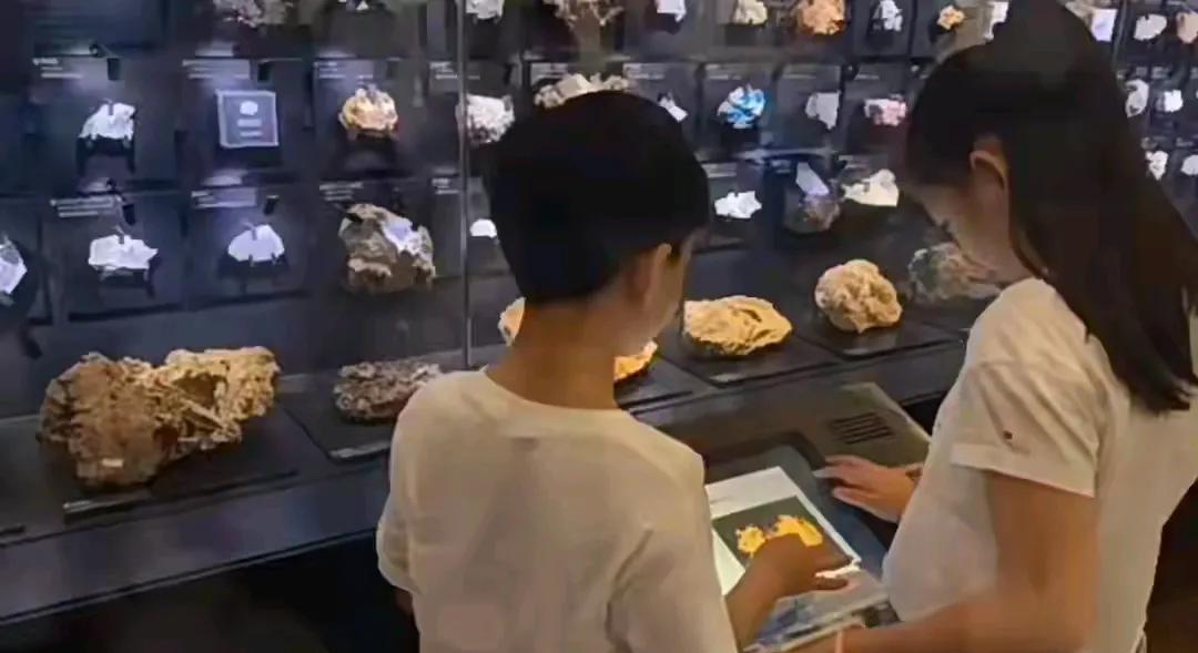 朱孝天说得没错，两个孩子回到北京跟着爸爸生活，确实是最合适也最好的选择。要知道
