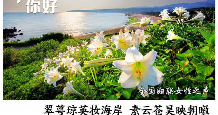 早安,你好|五一档票房破2亿!你想看哪部?