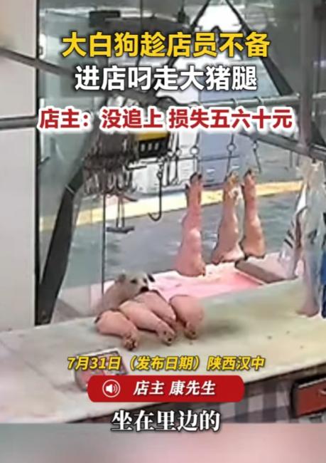 “笑不活了！”陕西汉中，一大白狗趁店员不备偷偷叼起猪腿拔腿就跑，店员发现后一路狂