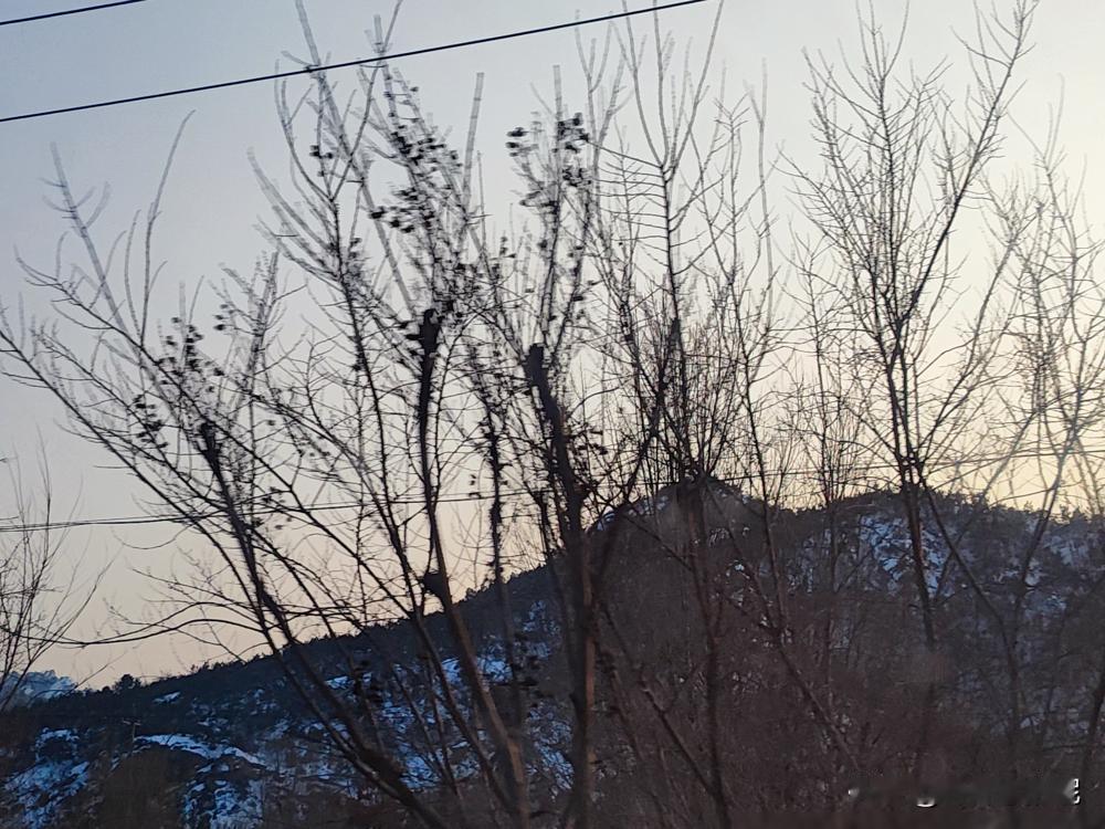 周六，闺女又要赶论文。“爸妈，我不回家了哈，在这边安静，下个周我要把论文改出来。