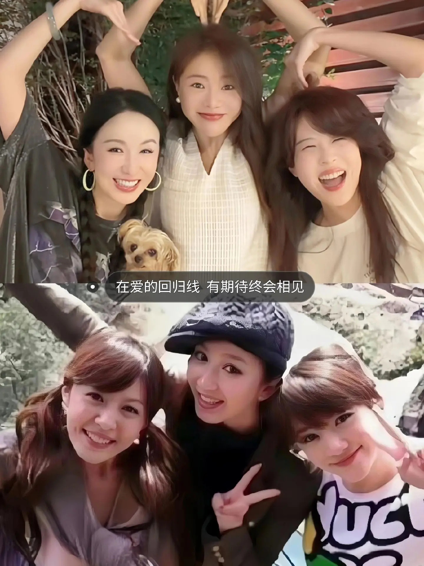 《爱情公寓》真的要回归了！李金铭、娄艺潇、邓家佳久违同框，扑面而来的情怀与回忆杀。最搞笑的是李佳航，