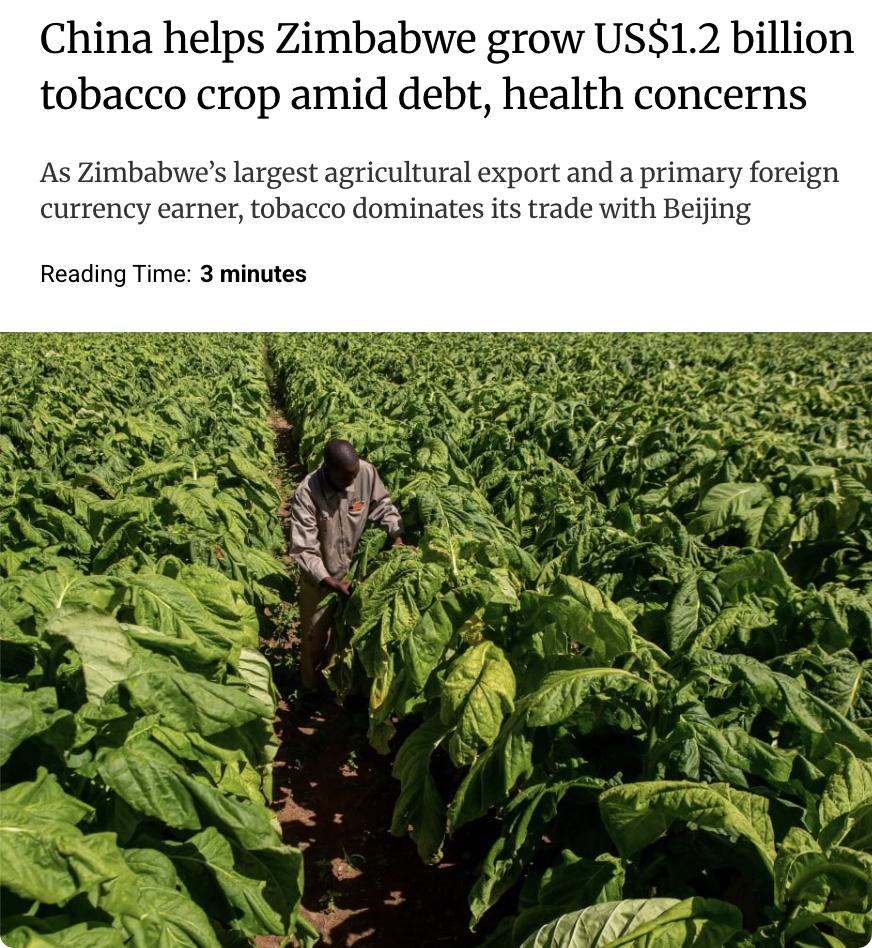 外媒：受中国需求推动，津巴布韦在上一销售季生产了3.527亿公斤烟草，价值约12