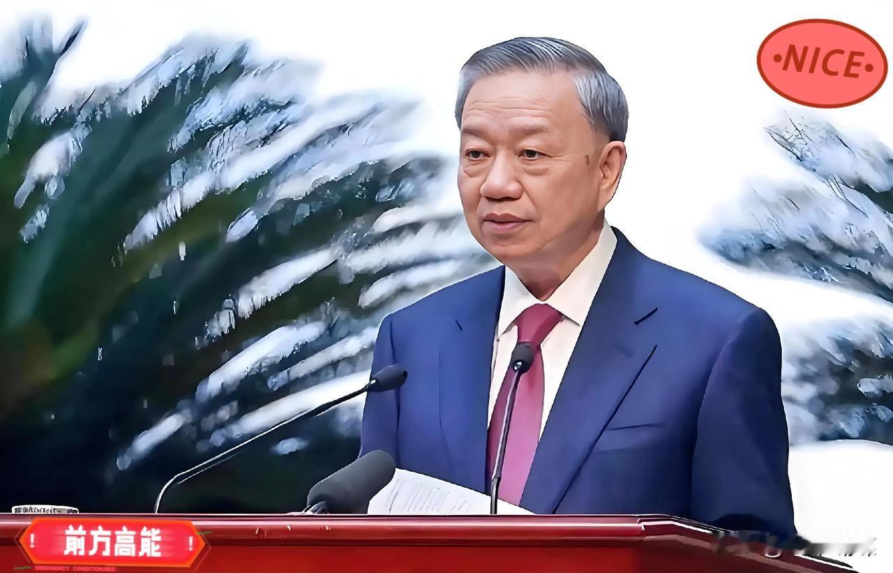 越南政坛高招！苏林弃大换血重用对手门生，这手腕藏着稳权关键越南政坛暗流