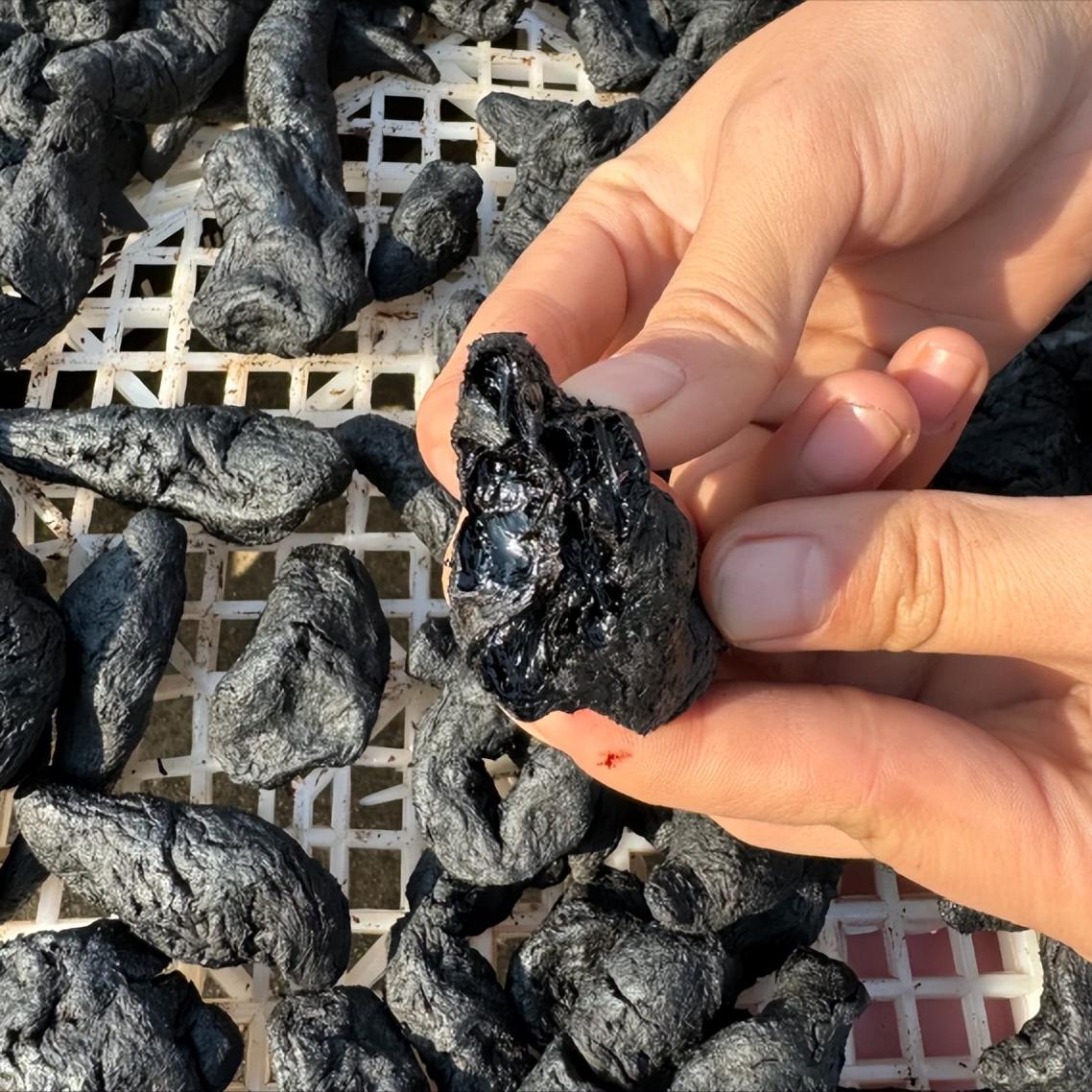 补阳的最高境界是滋肾阴，张仲景一剂千古方，仅两味药滋肾又壮阳补阳的最高境界