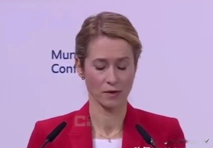 2月15号，慕尼黑安全会议开到最后一天，欧盟外长卡拉斯上台说了几句话，直接把会场