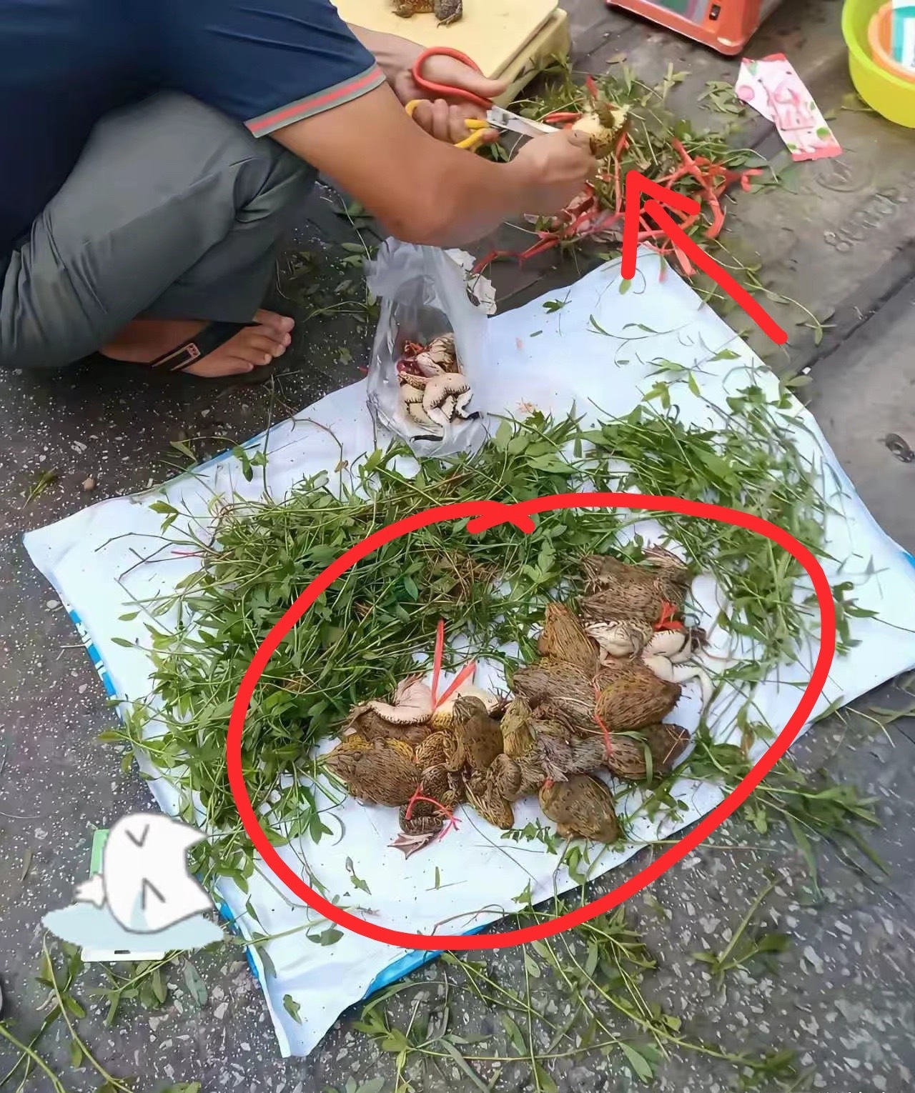 这大爷真行，竟然抓这个来卖！​​​