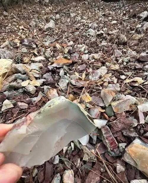 加州有个老哥，几年前在后山发现了一整条玉石矿脉。他兴奋坏了，连夜挖了好几吨原石，