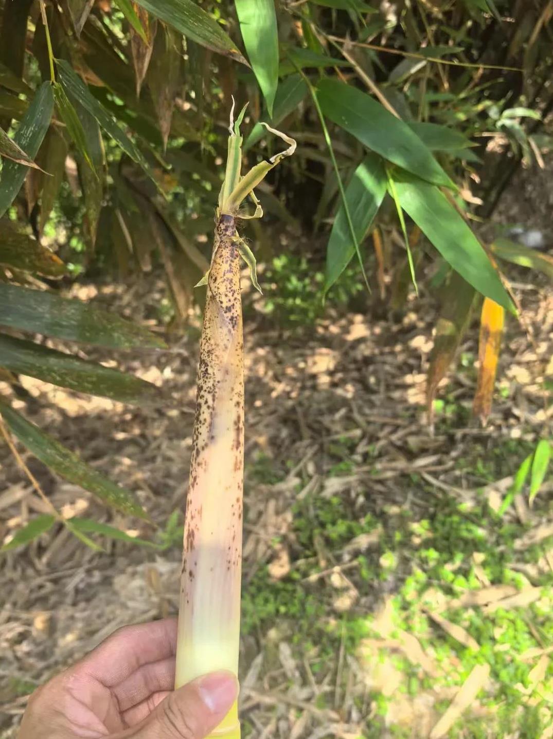 内心高端的三大星座内心高端的星座，真的很特别。像水瓶座，智商奇高还很有城府，对