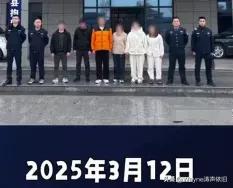 2025年3月12日，湖南常德澧县公安破获一宗利用仓库卖淫嫖娼案，抓获6名涉案嫌