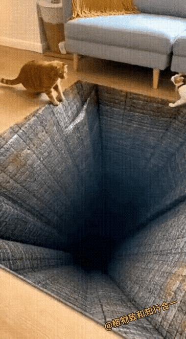 一只橘猫走到客厅门口，突然刹车，瞳孔放大，像看见万丈深渊，嗖地缩回沙发底下。镜