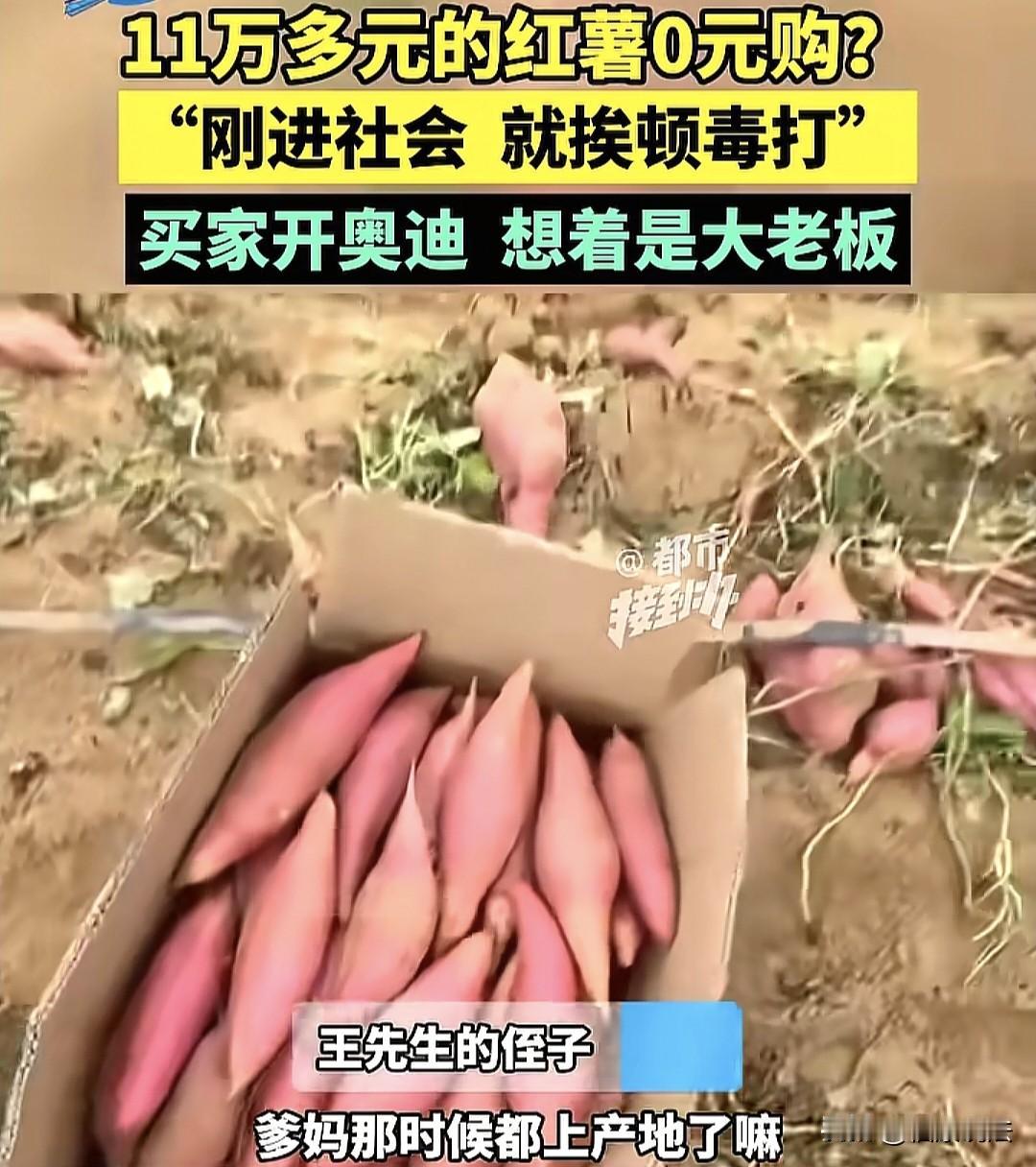 河南郑州，17岁侄子在家看档口，一男子开奥迪来买红薯，他以为是大老板，卖他5车红