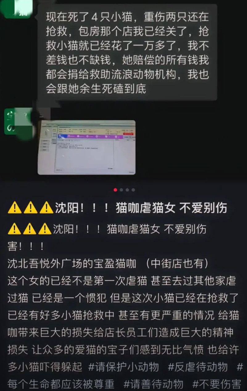 沈阳虐猫女子的这身份可不简单。有网友透露是国企工作人员，而且这已经她不是第一